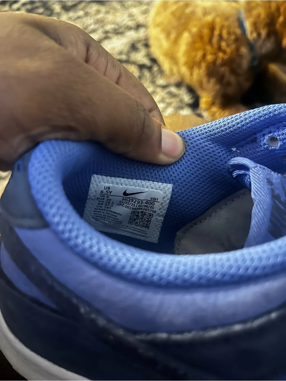 Blue Nike Low SE